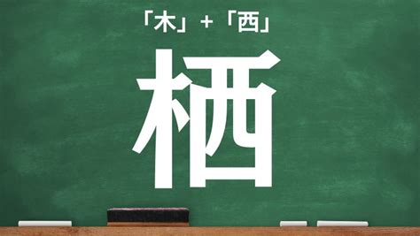 象木|木へんに象の読み方は？「橡」の5つの音読み訓読み